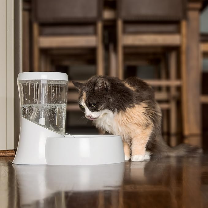 Petmate Fresh Flow Rain Battery Fountain for Cats and Dogs, 75 oz