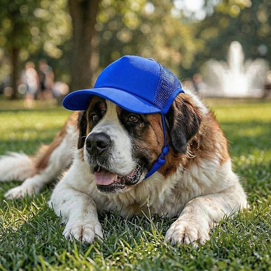 Tuff Pupper Dog Baseball Cap | UV Protection Dog Sun Hat | Breathable Lightweight Design | Secure Adjustable Chin Strap | Quick-Dry Fabric | Reinforced Brim | Small Medium Large Dogs (Blue, XXL)