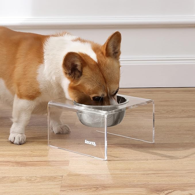 The LICKER Store DBL2002A Keaton 5" Small/Medium Modern Acrylic Rectangular Elevated Pet Feeder with 20oz 1-Stainless Steel Bowl, Clear/Chrome
