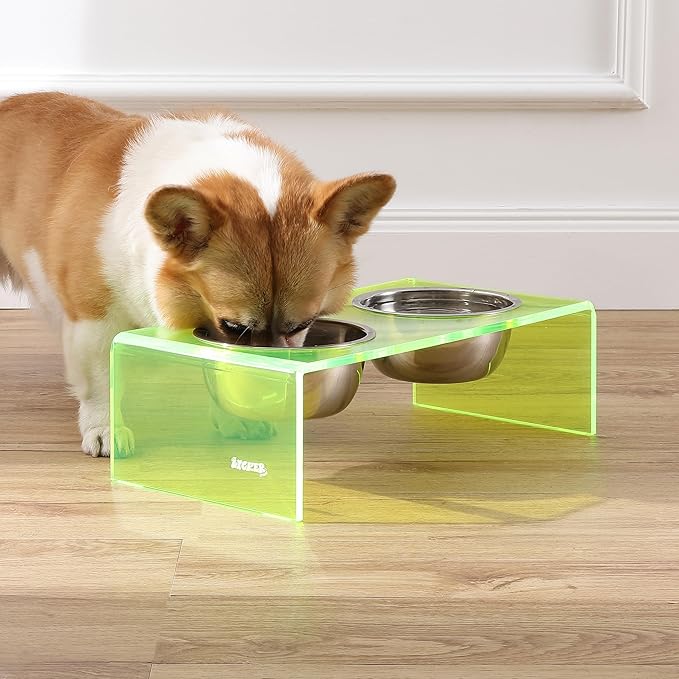 The LICKER Store DBL2000G Keaton 5" Small/Medium Modern Acrylic Rectangular Elevated Pet Feeder with 20oz 2-Stainless Steel Bowls, Green/Chrome