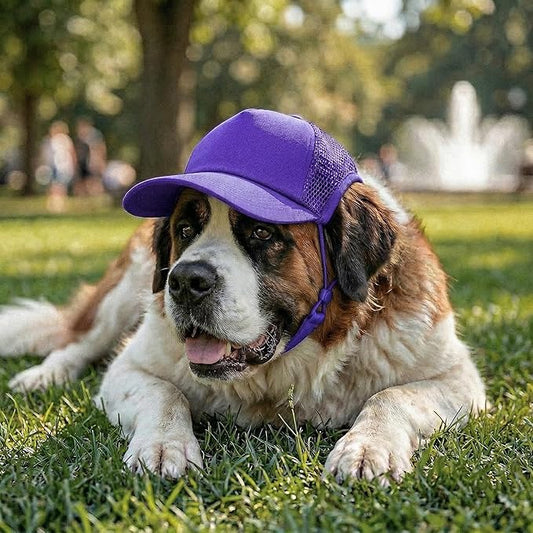 Tuff Pupper Dog Baseball Cap | UV Protection Dog Sun Hat | Breathable Lightweight Design | Secure Adjustable Chin Strap | Quick-Dry Fabric | Reinforced Brim | Small Medium Large Dogs (Purple, XXL)