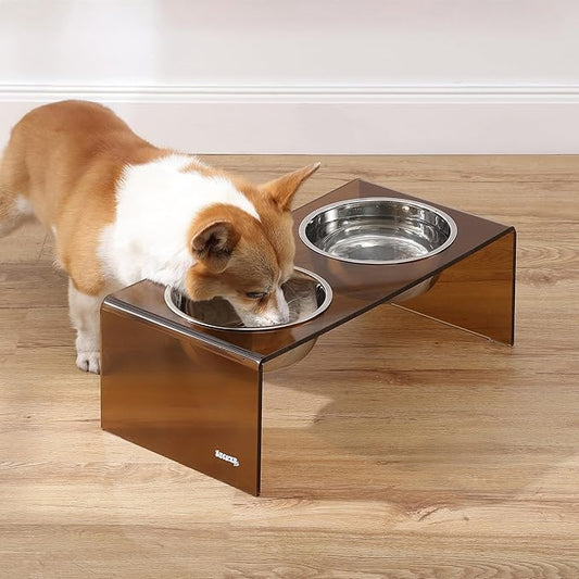 The LICKER Store DBL2001D Keaton 7.5" Medium/Large Modern Acrylic Rectangular Elevated Pet Feeder with 54oz 2-Stainless Steel Bowls, Amber/Chrome