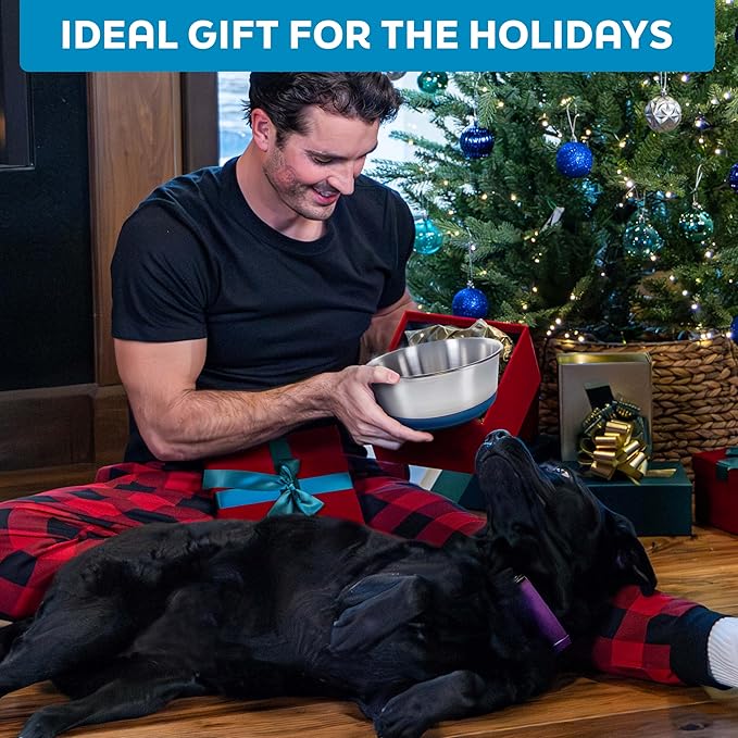 Master Pet Supply Stainless Steel Dog Bowls Set of 2 with Extra Thick Silicone Base - 2 Cup (16 oz) Mango Tango, Non-Slip, Dishwasher Safe Metal Bowls, Pet Dog Food Bowl for Dogs, Cats, Anti Rust