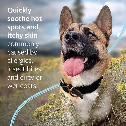 Veterinary Formula Clinical Care Hot Spot & Itch Relief Medicated Spray, 8oz – Easy to Use Spray for Dogs & Cats – Helps Alleviate Sensitive Skin, Scratching, and Licking of Coat (1 Pack)