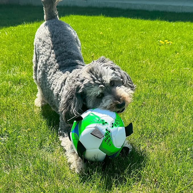SPOT Dog Soccer Ball with E-Z Tabs - Interactive Fetch and Tug Dog Toy with Heavy Duty Nylon Straps for Carrying, Tossing, and Tugging, Floats in Water, 9in Sports Ball with Air Pump Included