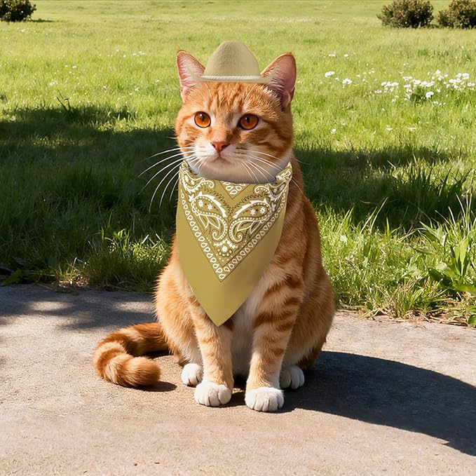 choyaxo Dog Cowboy Hat Dog Cowboy Costume for Small Pet Dogs Cat Cowboy Hat with Bandana Scarf Set Party Accessories (Khaki, Large)