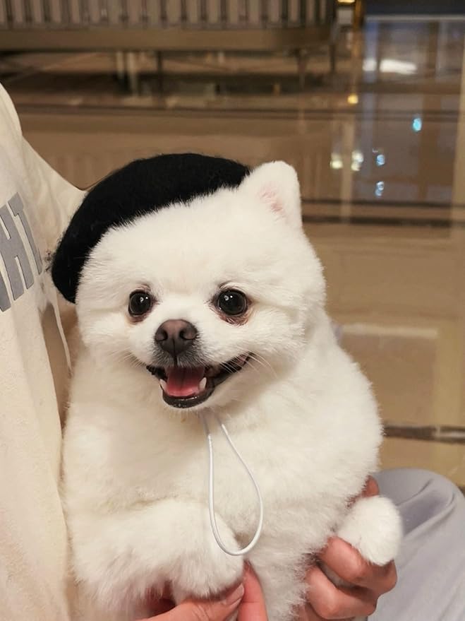Dog Beret Hats Cats Hats Fashion Four Seasons Funny Wool Comfortable Pet Hat (Rose)