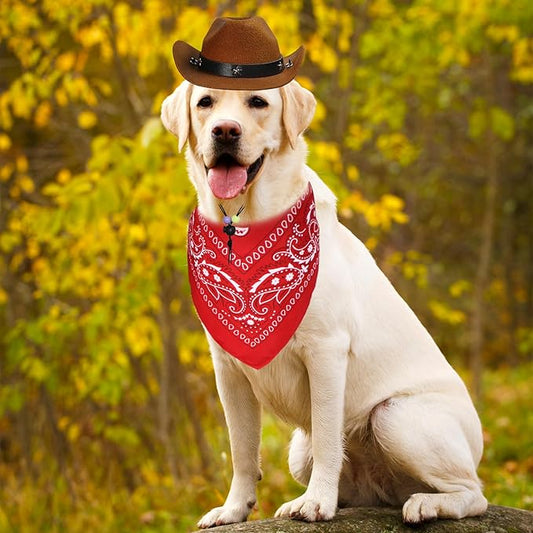 GOYOSWA Dog Halloween Costumes, Dog Cowboy Costume Halloween Pet Cowboy Hat Bandana Scarf for Small Medium Large Dogs Pets (Brown Hat & Red Bandana, Large)