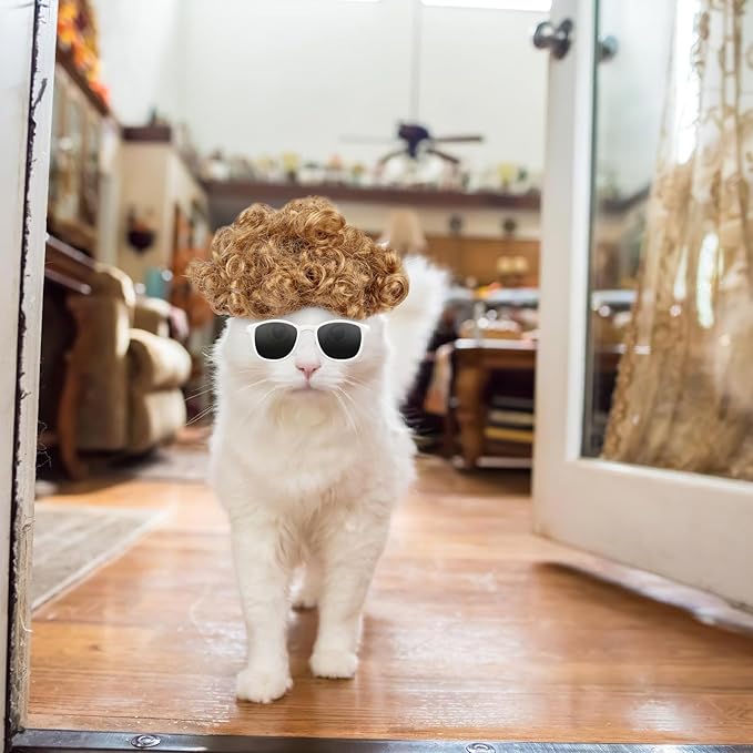 HOWWFALY Cat Apparel Cat Gold Afro Wig with White Small Glasses Styling Cute Funny Pet Hair Accessories Decoration for Halloween, Christmas, Parties