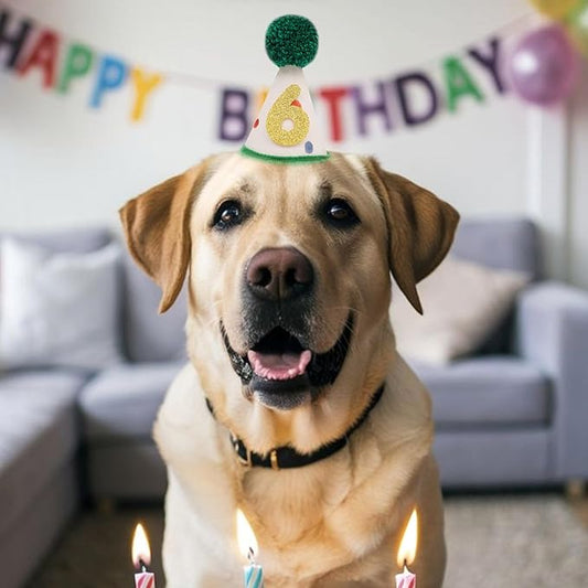 Pet Birthday Hat with Interchangeable Numbers 1-10 | Adjustable Pet Party Cone Hat for Dogs & Cats | Puppy Birthday Photo Props for 1st to 10th Birthday Celebrations (Beige Birtgday Pet Hat)