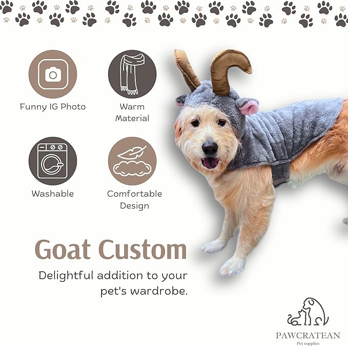 Pet Custom Dog Custom Cat Custom Hoodie, Sporty Look, Funny Gift, Halloween Holiday (Goat with Hat, Small)