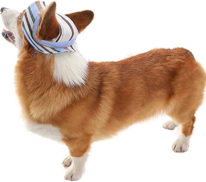 Round Brim Princess Hat Visor Hat Pet Dog Mesh Porous Sun Hat with Ear Holes for, Extra Dog Teddy, Pug, Chihuahua, Shih Tzu, Yorkshire Terriers, Papillon Z-2-blue Large