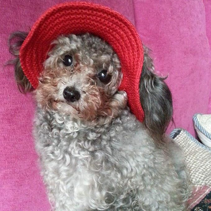 Round Brim Princess Hat Visor Hat Pet Dog Mesh Porous Sun Hat with Ear Holes for Small, Extra Small Dog Teddy, Pug, Chihuahua, Shih Tzu, Yorkshire Terriers, Papillon Red M