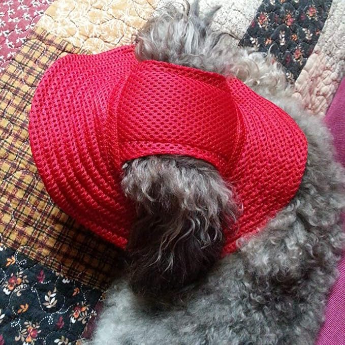 Round Brim Princess Hat Visor Hat Pet Dog Mesh Porous Sun Hat with Ear Holes for Small, Extra Small Dog Teddy, Pug, Chihuahua, Shih Tzu, Yorkshire Terriers, Papillon Red S