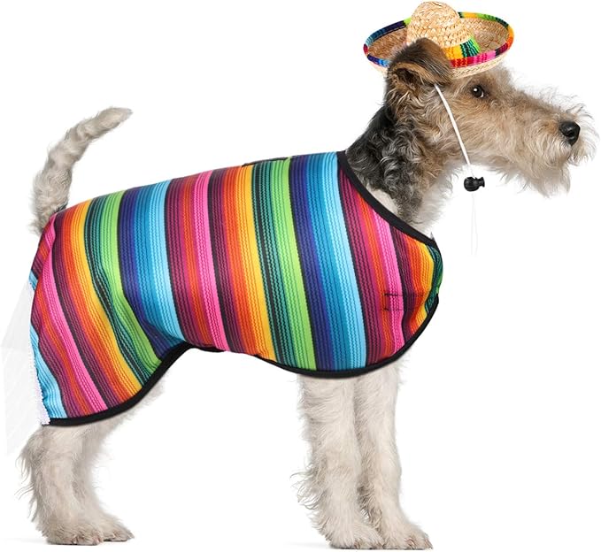 Weewooday Dog Sombrero Hat Pet Serape Poncho Costume Dog Multicolor Adjustable Mexican Straw Hat Chihuahua Clothes(Small)