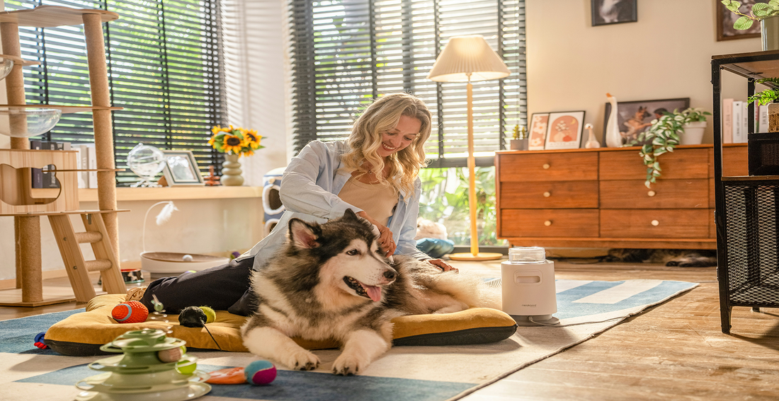 How to Groom Your Pet Like a Pro: A Step-by-Step Tutorial