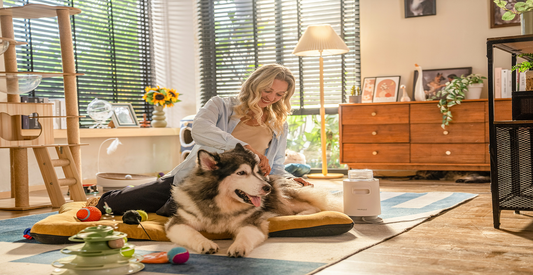How to Groom Your Pet Like a Pro: A Step-by-Step Tutorial