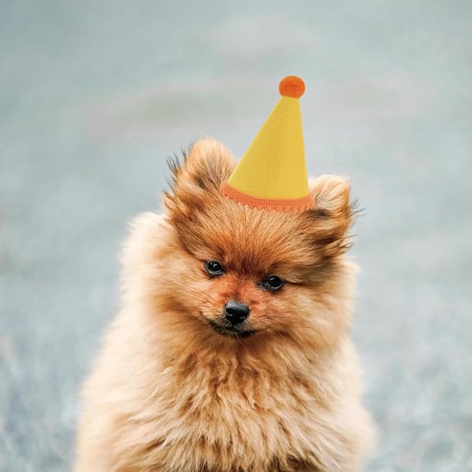10 Pcs Dog Birthday Hat Set for Small Medium Dogs Cat Puppies, Mini Party Hat with Adjustable Headbands, Cute Pet Hat with Pompons for Birthday Christmas Party Decoration Accessories (Mini 2.5 Inch)