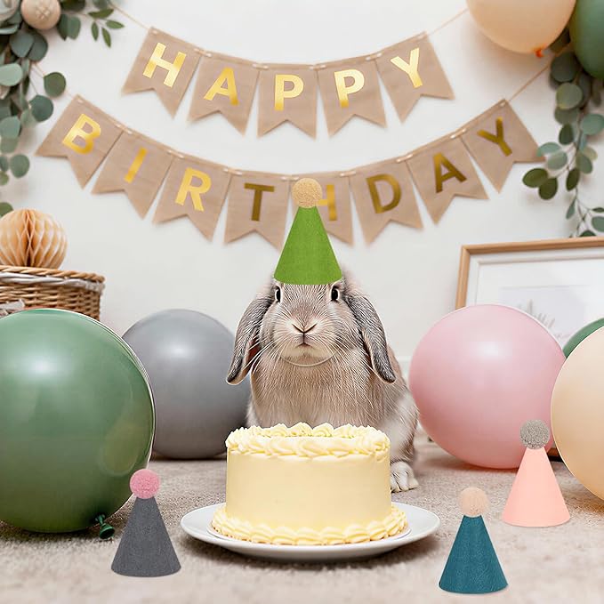12pcs Mini Party Hats for Stuffed Animals, Morandi Hats Party for Dolls Dog Cat Rabbit Puppies Birthday Party Cone Hats Photo Prop