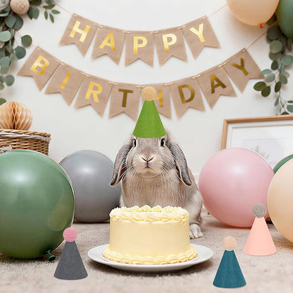 12pcs Mini Party Hats for Stuffed Animals, Morandi Hats Party for Dolls Dog Cat Rabbit Puppies Birthday Party Cone Hats Photo Prop