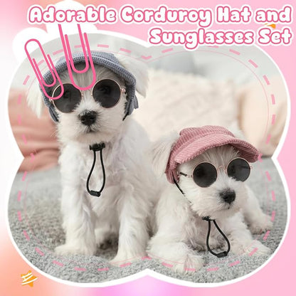 2 Set Small Dog Baseball Hat with Ear Holes and Pet Sunglasses for Beach, Dog Baseball Cap Puppy Sun Hats for Small Dogs (Pink, Blue)