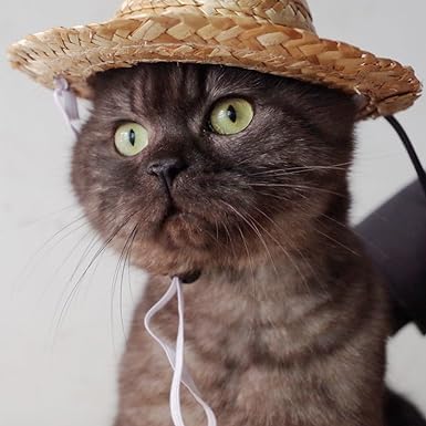 2Pc Novelty Summer Adjustable Pet Dog Outdoor Straw Hat Puppy Small Kitty Cat Sunhats Dog Hat