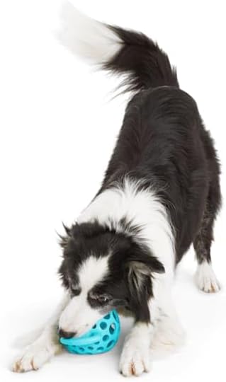 Leaps & Bounds Cage Ball with Handle Dog Toy, Medium