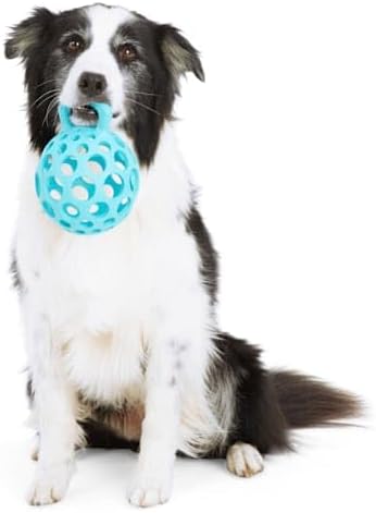 Leaps & Bounds Cage Ball with Handle Dog Toy Large