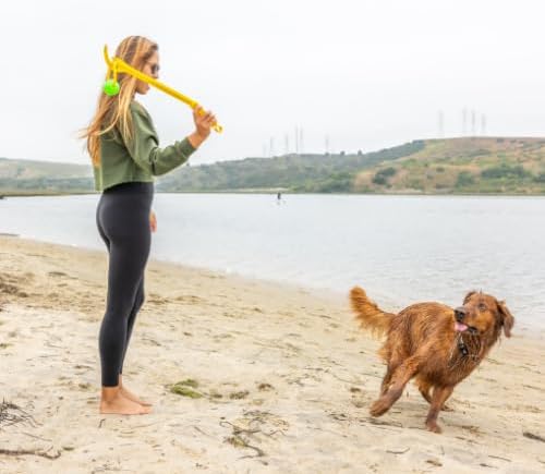 Project Hive Interactive Dog Toys - Set of 2 Looped Balls - Compatible with Hive Zoomer Dog Ball Thrower - Perfect for Fetch and Tug Play - Green and Blue