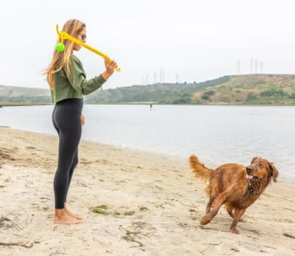 Project Hive Interactive Dog Toys - Set of 2 Looped Balls - Compatible with Hive Zoomer Dog Ball Thrower - Perfect for Fetch and Tug Play - Green and Blue