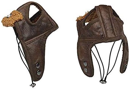 Leconpet Dog Aviator Hat, Dog Winter Pilot Hat with Ear Flaps for Cold Weather (S, Coffee)