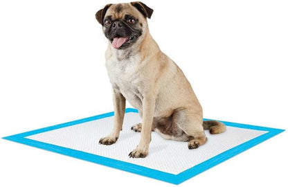 So Phresh Essentials Potty Pads Count of 100