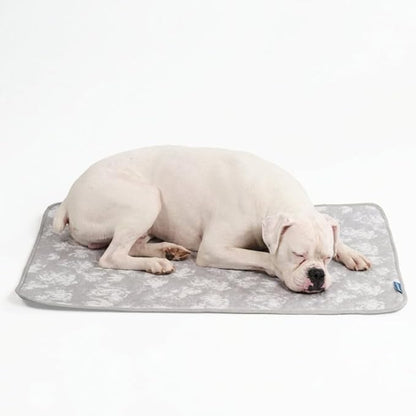 Spark Paws Cooling Mat for Dogs - Self Cooling Dog Mat & Pet Cooling Pad for Large, Medium & Small Dogs - Non-Toxic, Non-Gel Washable Cooling Bed - Cloud Grey - Size XL