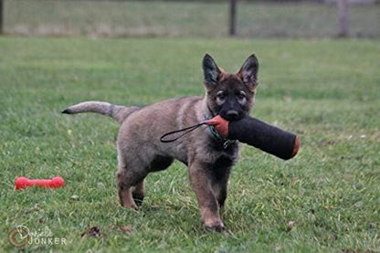 Dingo Gear Dog Tug Toy for Strong Dog, Bite Training, IGP, Fun, French Linen, Cylinder red S02783