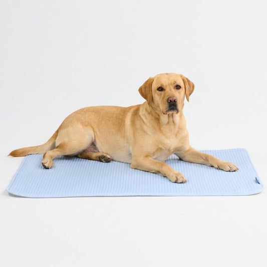 Spark Paws Cooling Mat for Dogs - Self Cooling Dog Mat & Pet Cooling Pad for Large, Medium & Small Dogs - Non-Toxic, Non-Gel Washable Cooling Bed - Waffle Blue - Size XXL