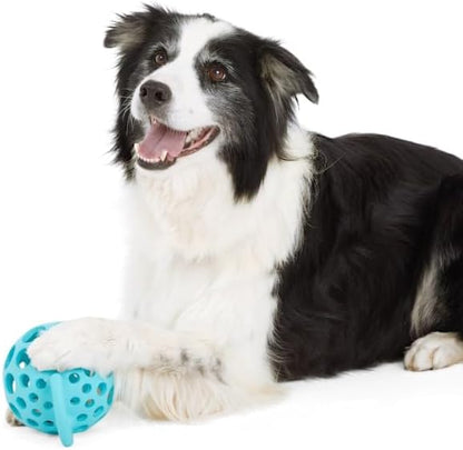 Leaps & Bounds Cage Ball with Handle Dog Toy, Medium