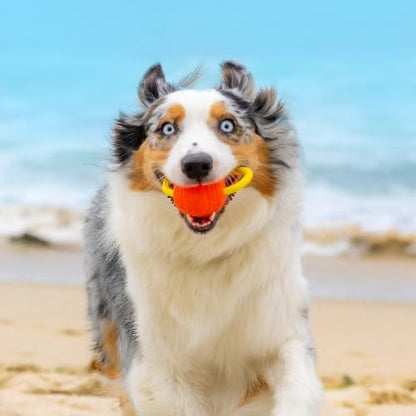 Project Hive Large Looped Dog Ball | Interactive Toys Compatible with Hive Zoomer Dog Ball Thrower | Perfect for Fetch and Tug Play | Orange