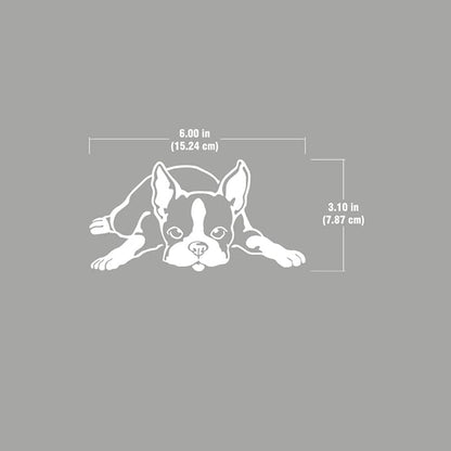 WIRESTER 6 inch Clear Vinyl Decal Sticker Decoration for Car Window (Or Any Flat Surface) - Boston Terrier Dog Lying Down Looking Up
