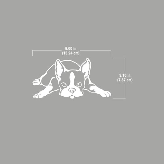 WIRESTER 6 inch Clear Vinyl Decal Sticker Decoration for Car Window (Or Any Flat Surface) - Boston Terrier Dog Lying Down Looking Up