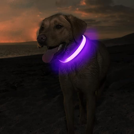 MASBRILL Light Up Collar, LED Rechargeable Glow Flashing Night Collar, Waterproof, 4 Colors, 3 Sizes for Small to Large Dogs (S(0.98 * 15.75"), Purple)