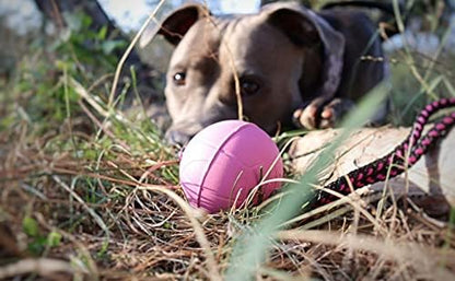 Dingo BIBI Ball for Dog Training, Floating, Retrieving Toy for Dog, Soft Rubber and Rope Handle, Pink Color 17251