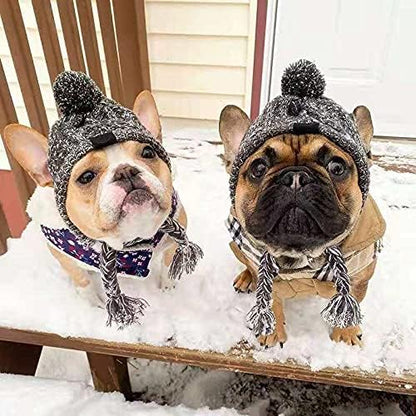 Dog Kintted Hat,Winter Warm Woolen Cap for Small Medium Large Dogs,Puppy Pom Pom Hat Headwear Costume Accessory (Grey L)