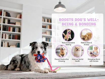 Snuffle Ball with Bungee Tug, Tug of War Rope Toys for Small Medium Dogs, Interactive Dog Toys Puppy Training Pull Toy for Exercise & Interactive Play Games (Purple)