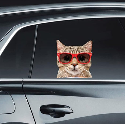 LEMONSODA Cat Car Window Decals Funny 3D Weatherproof Decals (Sunglass hat)