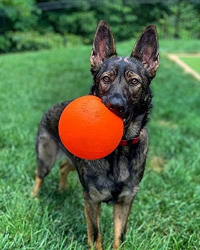 Jolly Pets Dog 6-Inch Bounce-n-Play, Orange, 6 Inches/Medium