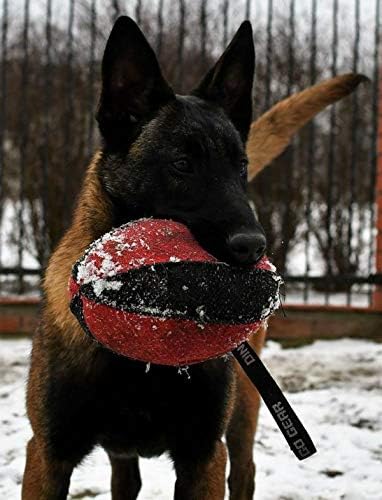 Dingo Gear Dog Tug Toy for Strong Dog, Bite Training, IGP, Fun, French Linen, Rugby red S02782