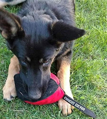 Dingo Gear Dog Tug Toy for Strong Dog, Bite Training, IGP, Fun, French Linen, Small Ball red S02780
