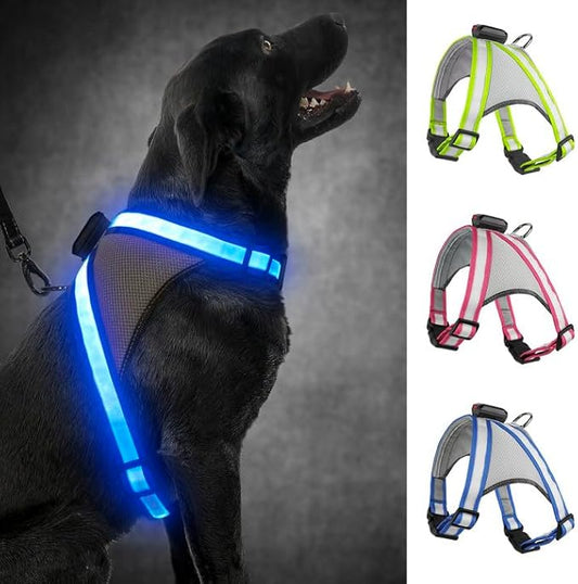 Visinite LED Dog Harness, USB Rechargeable Light Up Dog Vest, 2 Illuminate Modes Glow in The Dark Dog Harness, Adjustable Lighted Pet Harness Light for Night Walking Safety(Blue, XL)