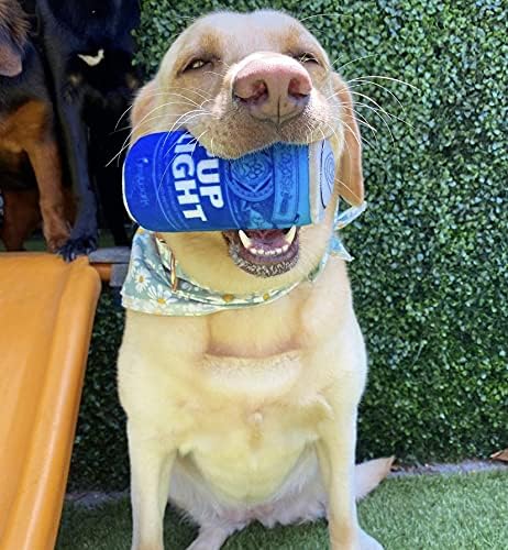 Nestpark Pup Light and Pups Blue Rubbin - Parody Beer Dog Toys - Funny Plush Squeaky and Crinkle Dog Toys Dog Gifts for Dog Birthday (2 Pack) (Mix)