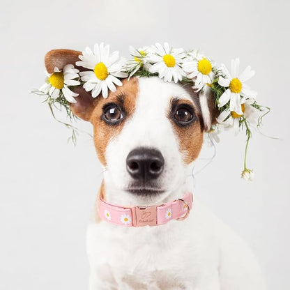 Spring Dog Collar, Cute Pink Daisy Femal Pet Collar with Metal Buckel, Durable Adjustable Designer Dog Collars for Small Medium Large Dogs XS